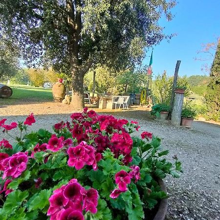 Azienda Agricola Polveraia San Gimignano Zewnętrze zdjęcie