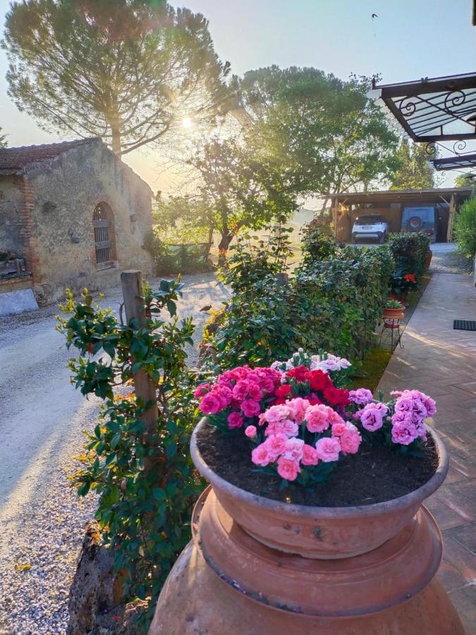 Azienda Agricola Polveraia San Gimignano Zewnętrze zdjęcie