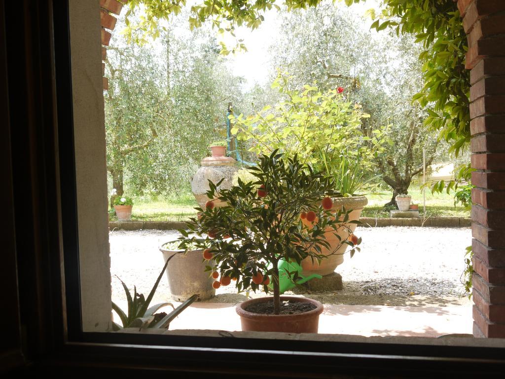 Azienda Agricola Polveraia San Gimignano Zewnętrze zdjęcie