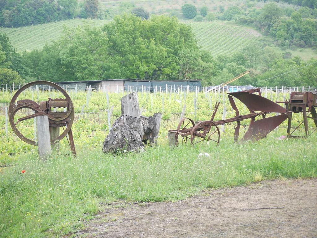 Azienda Agricola Polveraia San Gimignano Zewnętrze zdjęcie