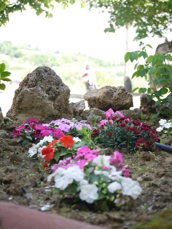 Azienda Agricola Polveraia San Gimignano Zewnętrze zdjęcie