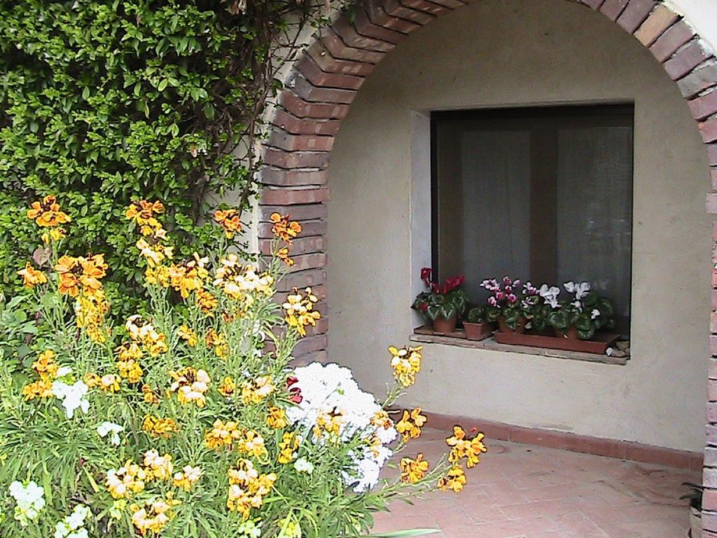 Azienda Agricola Polveraia San Gimignano Zewnętrze zdjęcie