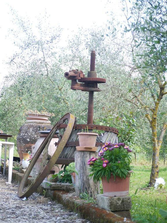 Azienda Agricola Polveraia San Gimignano Zewnętrze zdjęcie