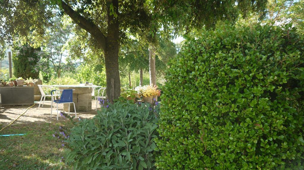 Azienda Agricola Polveraia San Gimignano Zewnętrze zdjęcie