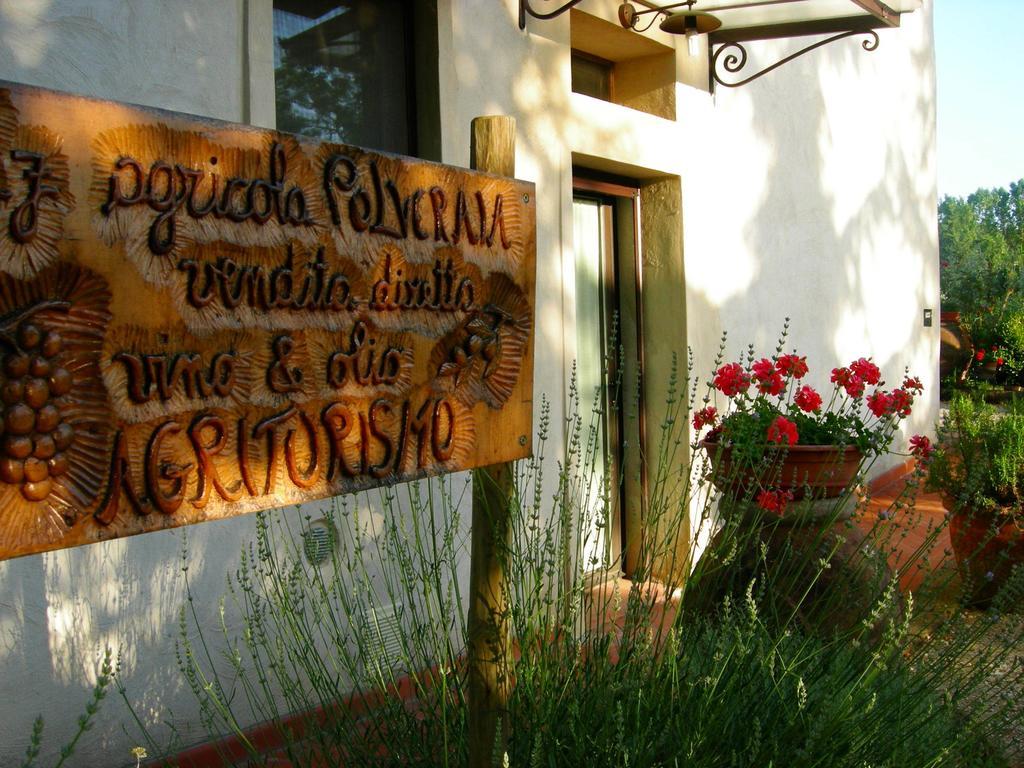 Azienda Agricola Polveraia San Gimignano Zewnętrze zdjęcie