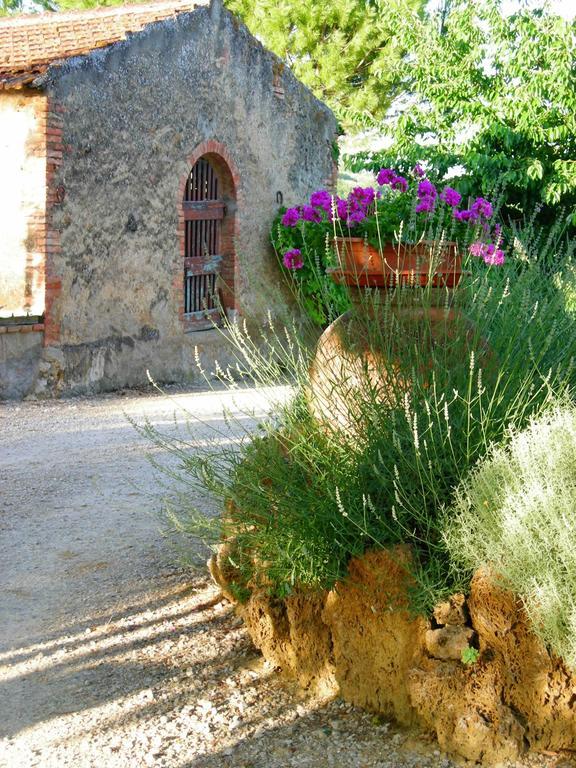 Azienda Agricola Polveraia San Gimignano Zewnętrze zdjęcie