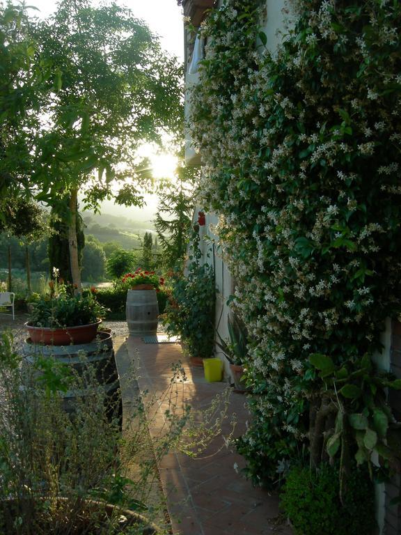 Azienda Agricola Polveraia San Gimignano Zewnętrze zdjęcie
