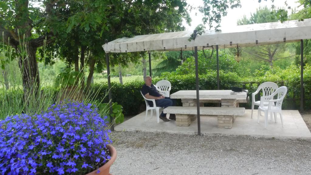 Azienda Agricola Polveraia San Gimignano Zewnętrze zdjęcie