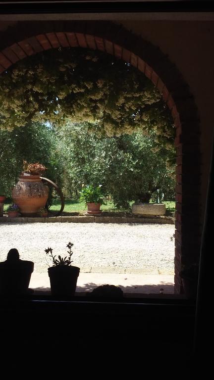 Azienda Agricola Polveraia San Gimignano Zewnętrze zdjęcie