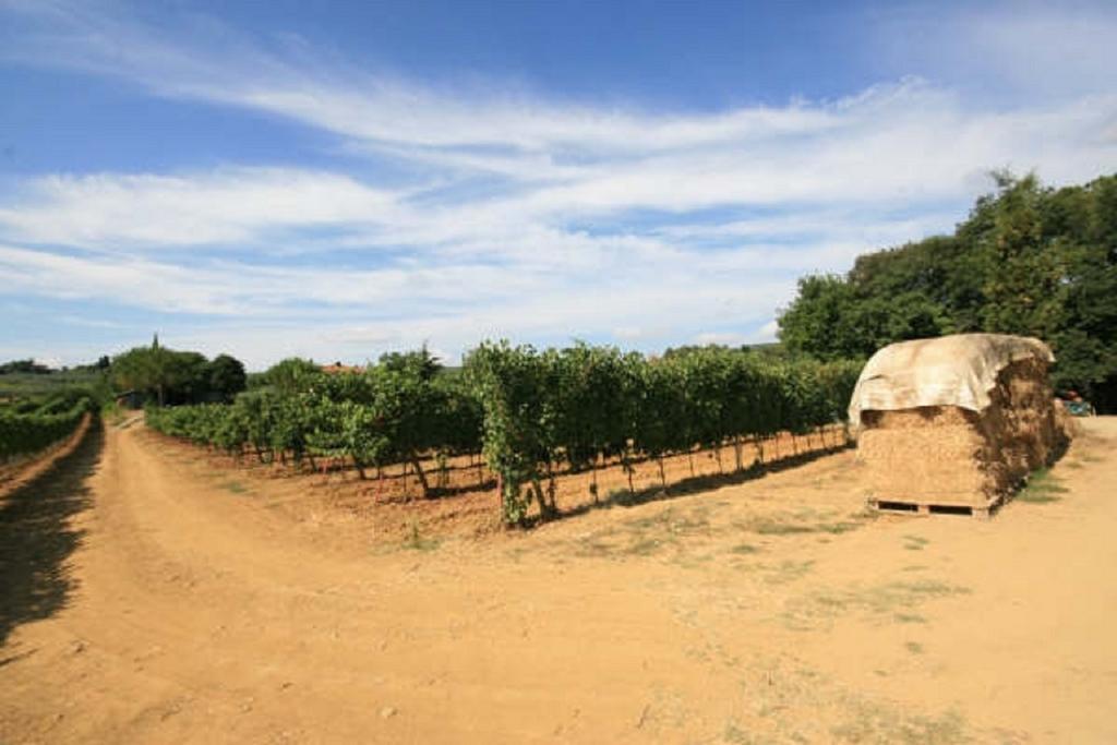 Azienda Agricola Polveraia San Gimignano Zewnętrze zdjęcie