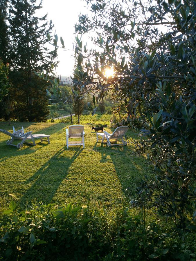 Azienda Agricola Polveraia San Gimignano Zewnętrze zdjęcie